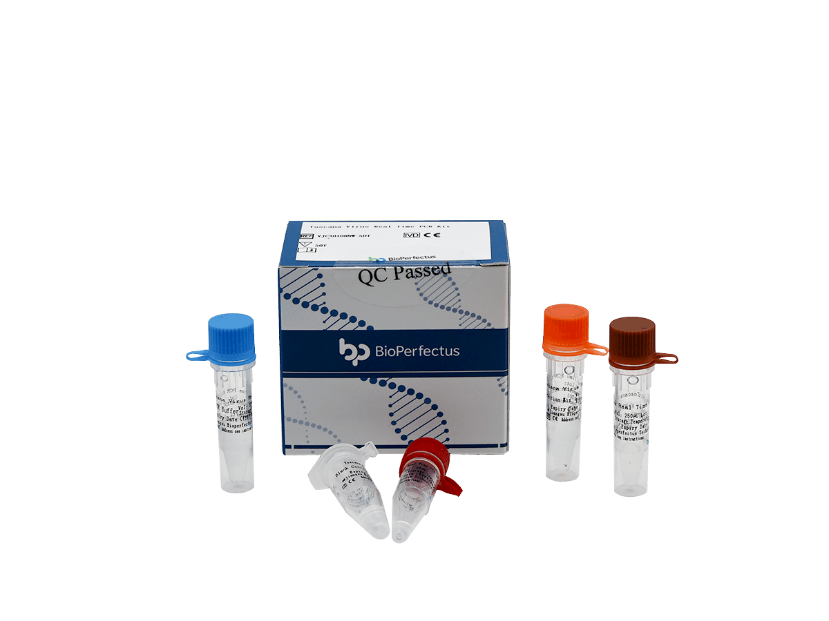 BioPerfectus Toscana Virus Real Time PCR Kit