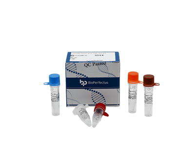 BioPerfectus Toscana Virus Real Time PCR Kit
