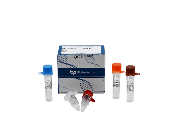 BioPerfectus Toscana Virus Real Time PCR Kit