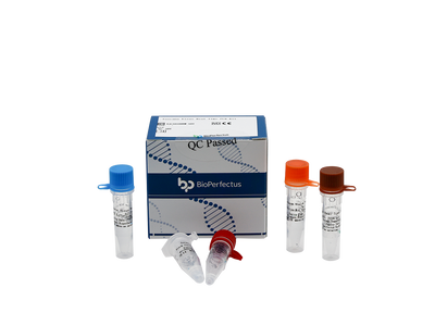 Toscana Virus Real Time PCR Kit