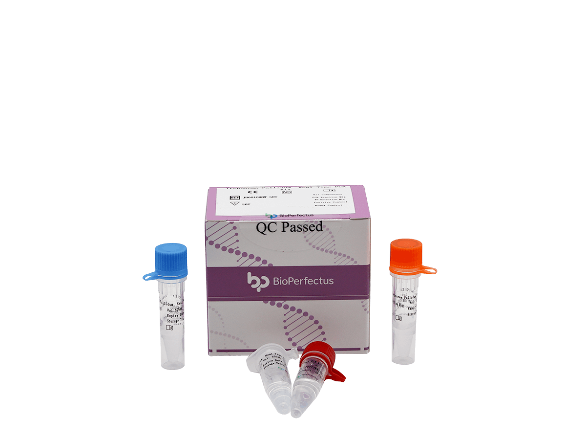BioPerfectus Treponema Pallidum Real Time PCR Kit