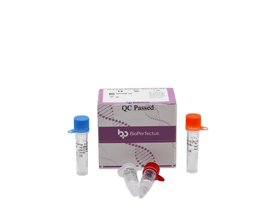 BioPerfectus Treponema Pallidum Real Time PCR Kit