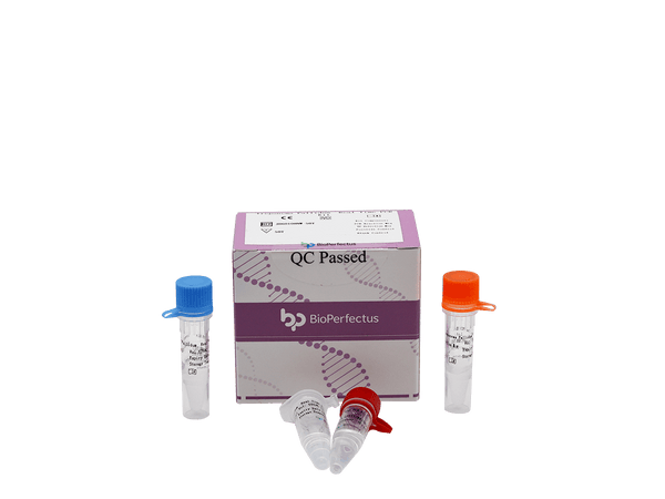 BioPerfectus Treponema Pallidum Real Time PCR Kit