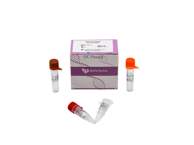 Trichomonas Vaginalis Real Time PCR Kit