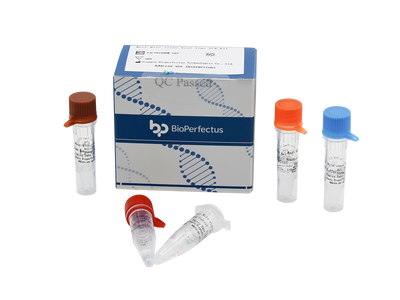 West Nile Virus Real Time PCR Kit