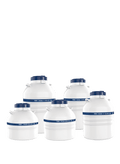 Haier LN2 Tank