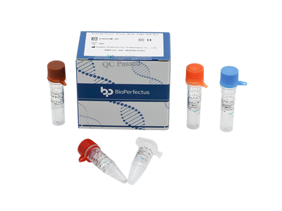 Yellow Fever Virus Real Time PCR Kit