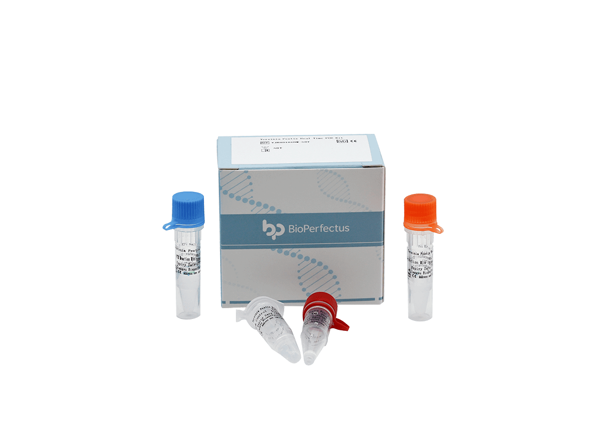 BioPerfectus Yersinia Pestis Real Time PCR Kit