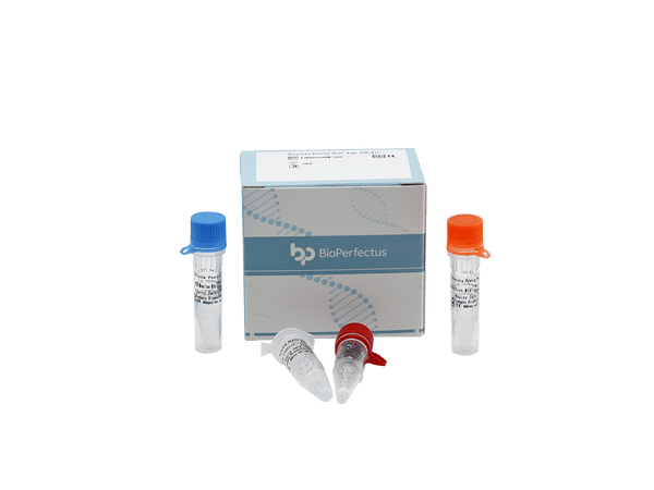 BioPerfectus Yersinia Pestis Real Time PCR Kit