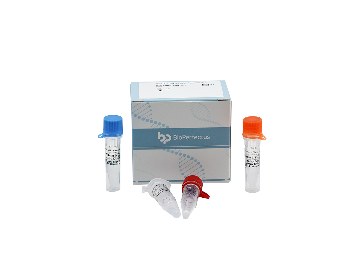 Yersinia Pestis Real Time PCR Kit