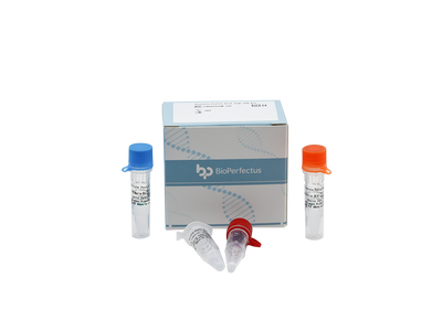 Yersinia Pestis Real Time PCR Kit