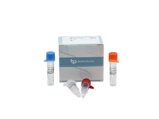 Yersinia Pestis Real Time PCR Kit