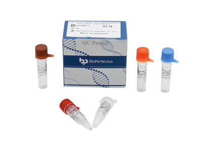 Zika Virus/Dengue Virus/Chikungunya Virus Real Time PCR Kit