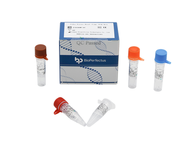 Zika Virus Real Time PCR Kit