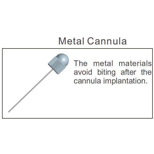 Laboratory Animals Brain Single Cannula