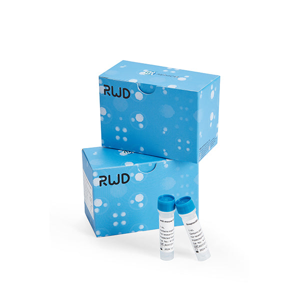 RWD Mouse CD19+ Cell Separation Kit