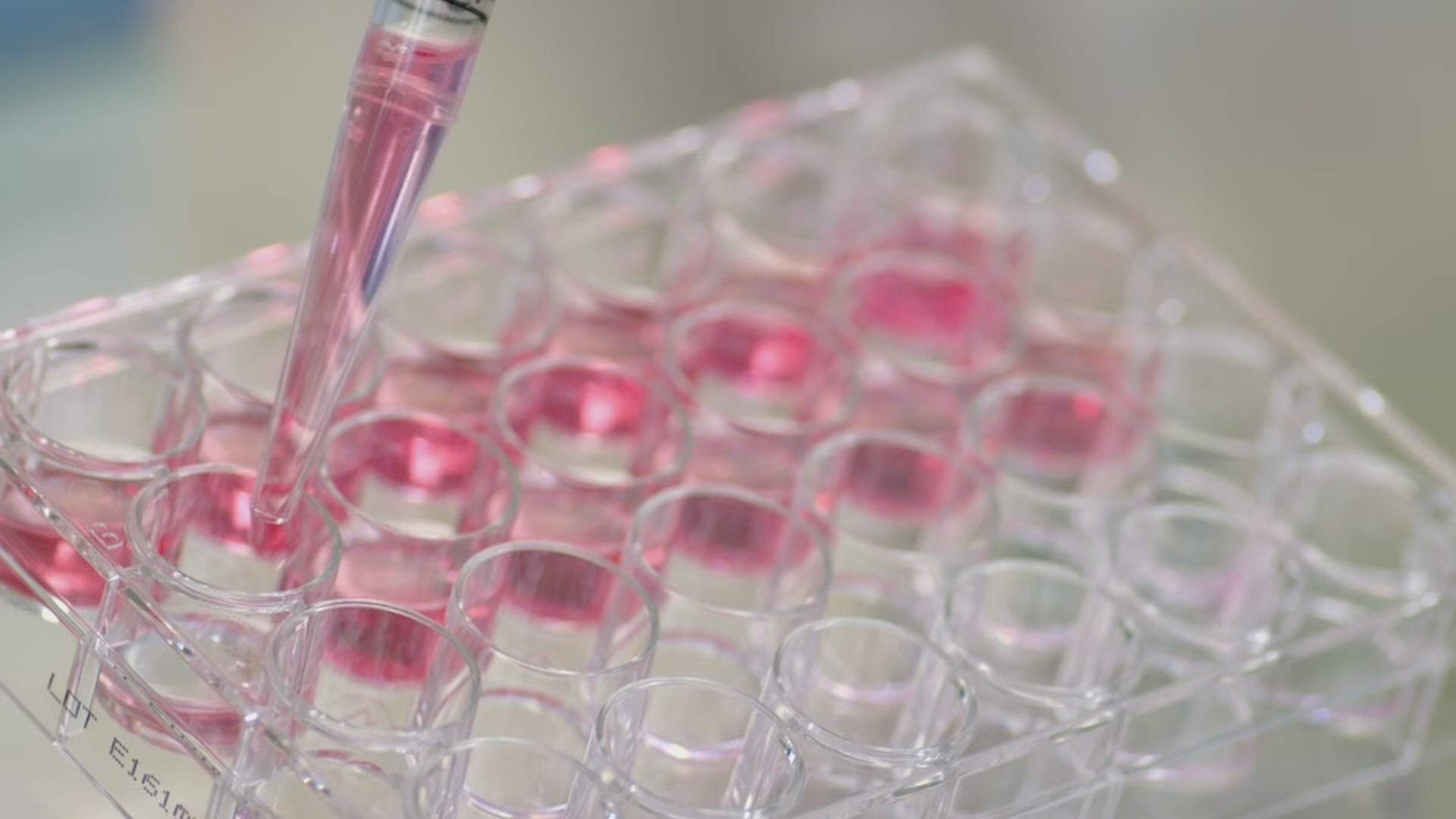 M1324R High-Speed Refrigerated Microcentrifuge