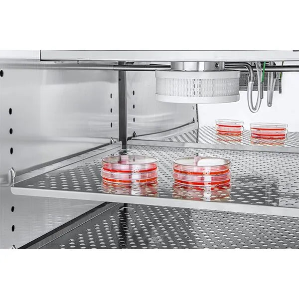 RWD D181 CO2 Incubator